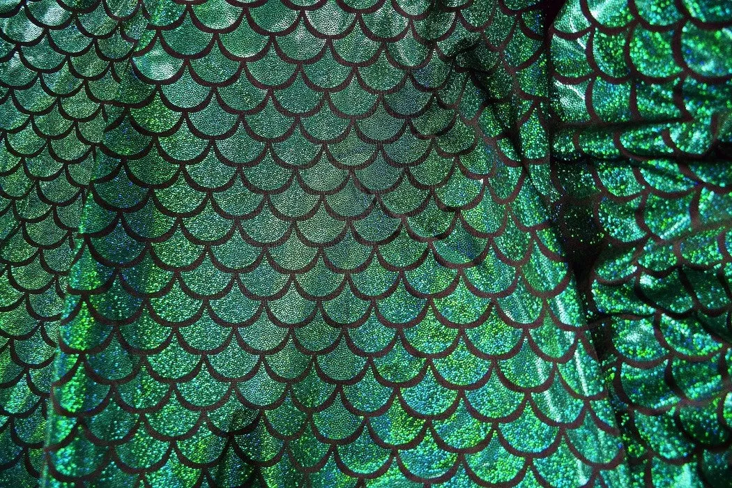 High Waist Mermaid Skirt